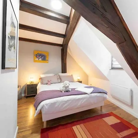 Les Lionceaux, 120m2 A Colmar, Place De Parking Gratuite شقة *