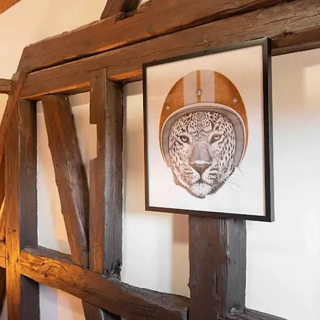 Les Lionceaux, 120m2 A Colmar, Place De Parking Gratuite شقة *