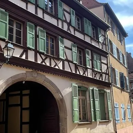 Les Lionceaux, 120m2 A Colmar, Place De Parking Gratuite كولمار