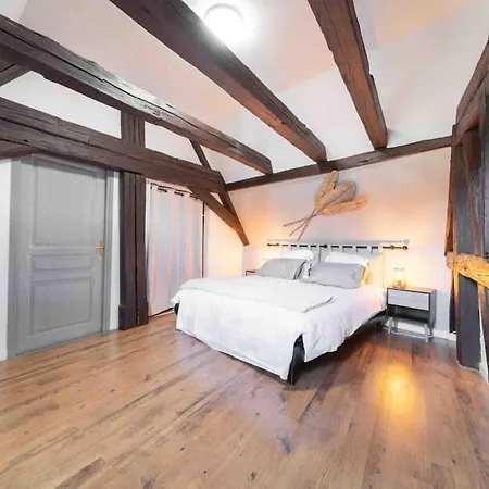 Les Lionceaux, 120m2 A Colmar, Place De Parking Gratuite شقة *