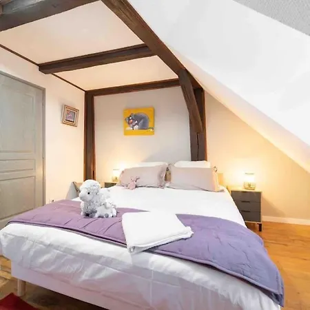 Les Lionceaux, 120m2 A Colmar, Place De Parking Gratuite شقة كولمار
