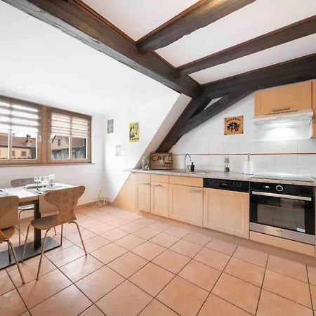 شقة Les Lionceaux, 120m2 A Colmar, Place De Parking Gratuite كولمار