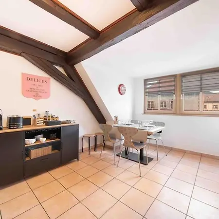 Les Lionceaux, 120m2 A Colmar, Place De Parking Gratuite Apartment