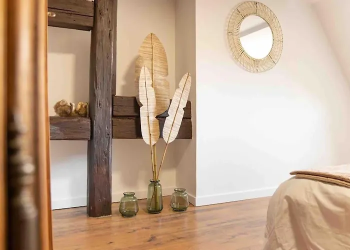 Les Lionceaux, 120m2 A Colmar, Place De Parking Gratuite Colmar