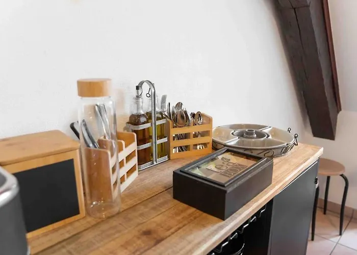 Les Lionceaux, 120m2 A Colmar, Place De Parking Gratuite * Colmar