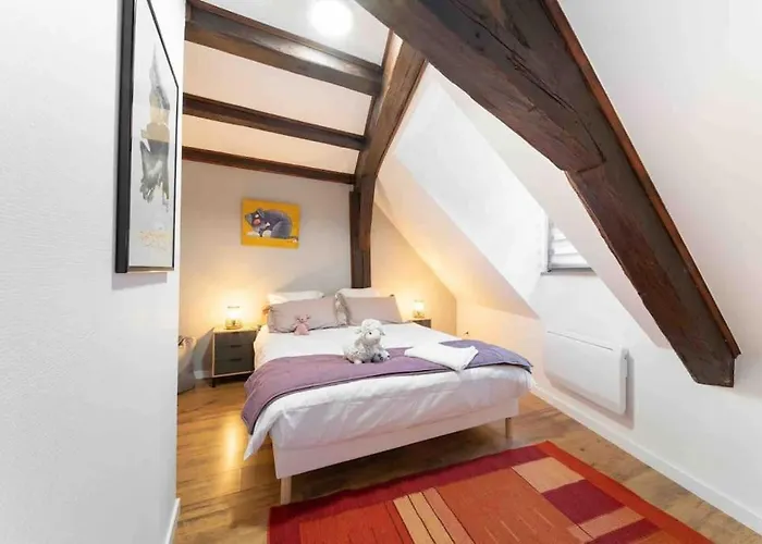 Les Lionceaux, 120m2 A Colmar, Place De Parking Gratuite Daire *