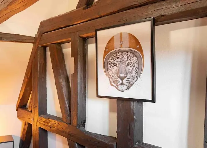 Les Lionceaux, 120m2 A Colmar, Place De Parking Gratuite Daire *