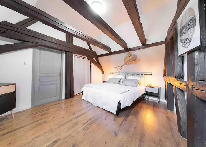 Les Lionceaux, 120m2 A Colmar, Place De Parking Gratuite Appartement *