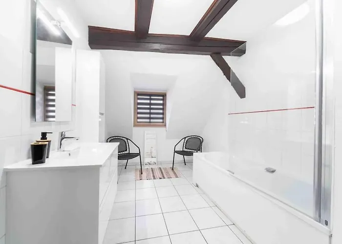 Appartement Les Lionceaux, 120m2 A Colmar, Place De Parking Gratuite Colmar