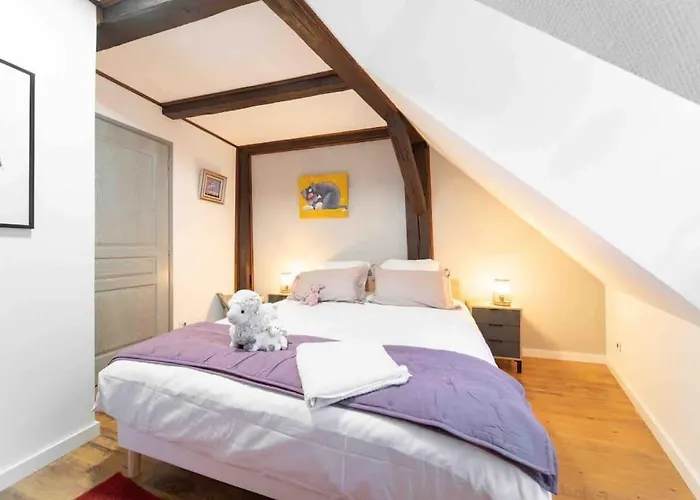 Les Lionceaux, 120m2 A Colmar, Place De Parking Gratuite Daire Colmar