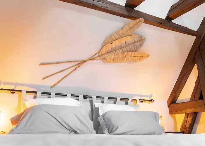 Daire Les Lionceaux, 120m2 A Colmar, Place De Parking Gratuite Colmar