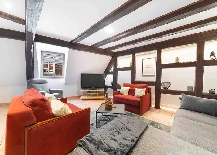 Les Lionceaux, 120m2 A Colmar, Place De Parking Gratuite Colmar