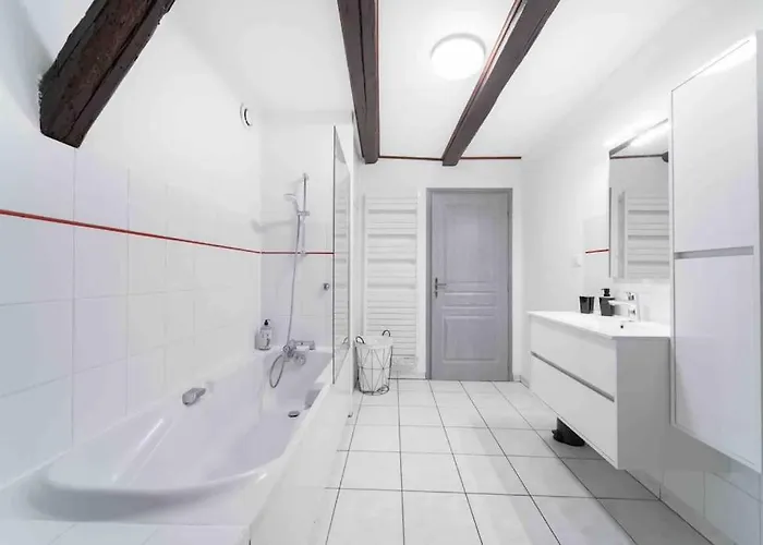 Les Lionceaux, 120m2 A Colmar, Place De Parking Gratuite Colmar