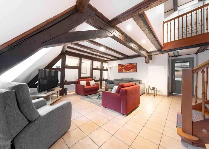 Les Lionceaux, 120m2 A Colmar, Place De Parking Gratuite *