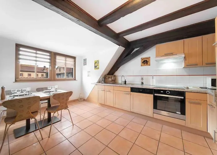 Daire Les Lionceaux, 120m2 A Colmar, Place De Parking Gratuite Colmar