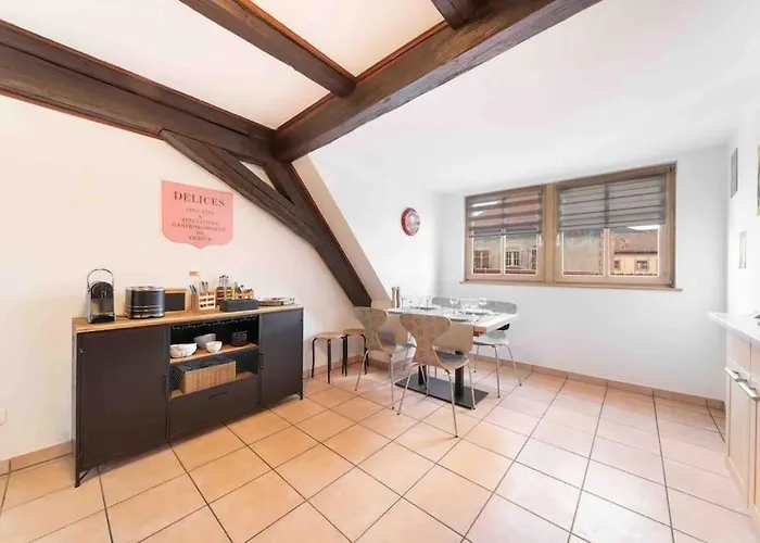 Les Lionceaux, 120m2 A Colmar, Place De Parking Gratuite Appartement