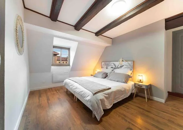 Les Lionceaux, 120m2 A Colmar, Place De Parking Gratuite *