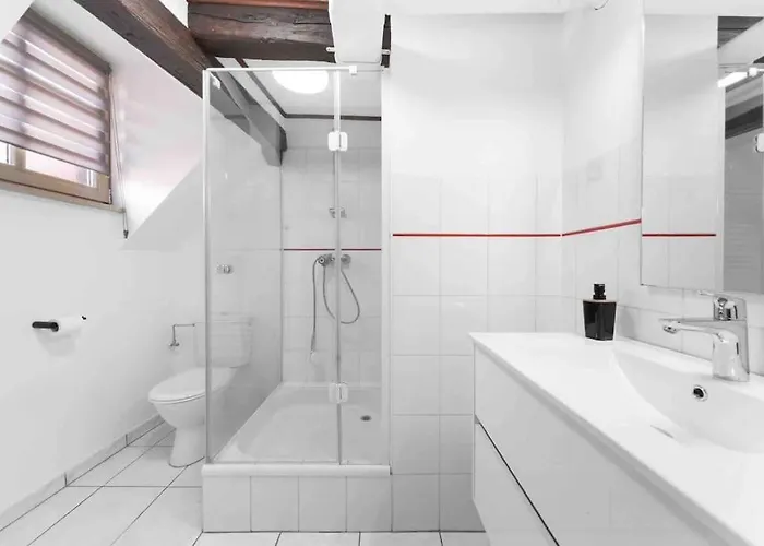 Les Lionceaux, 120m2 A Colmar, Place De Parking Gratuite Daire Colmar